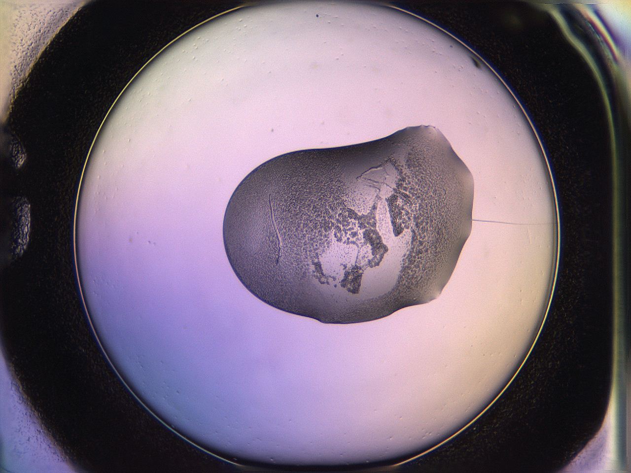05qo_G1_ImagerDefaults_3.jpg