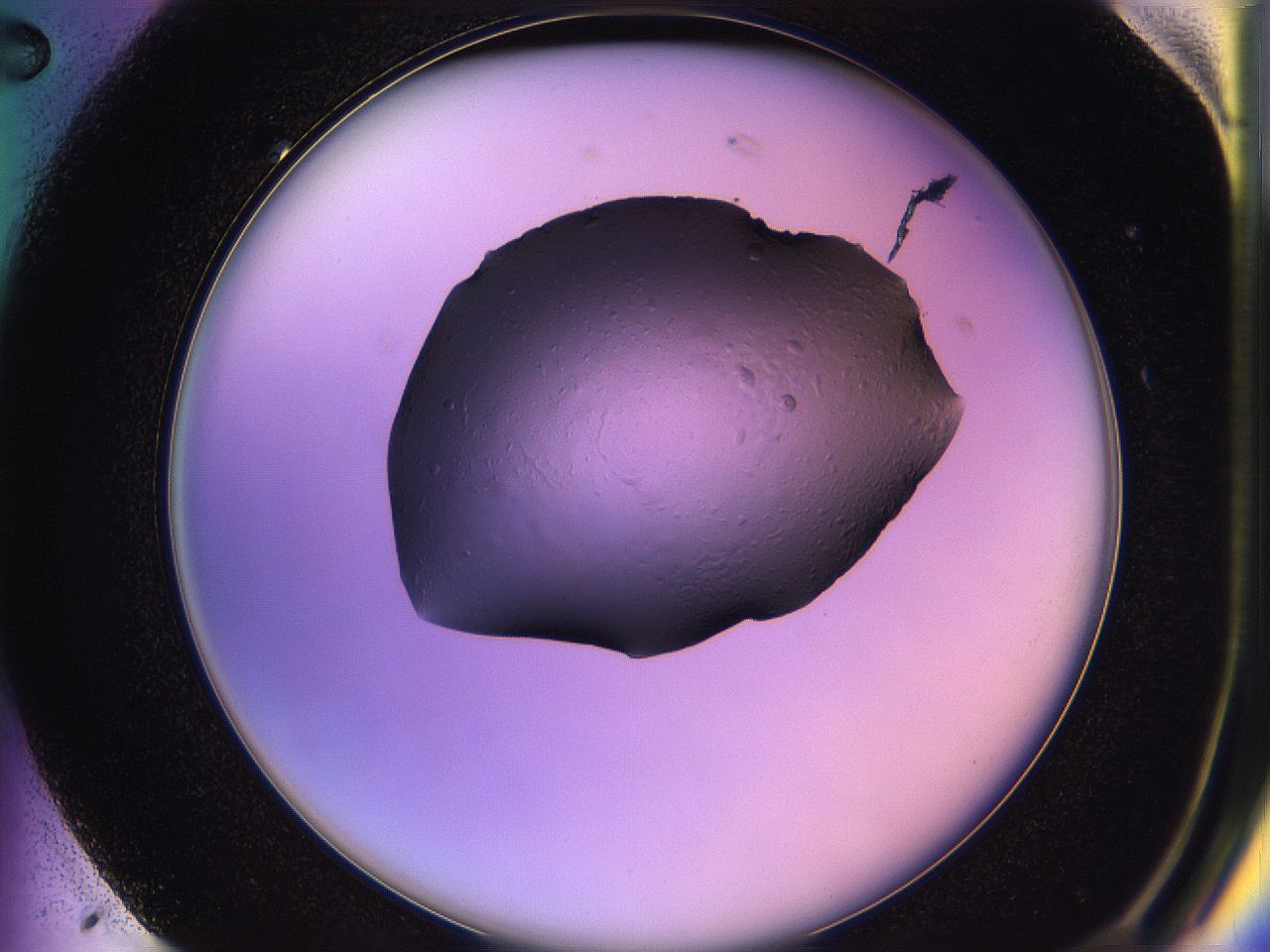 05qo_G2_ImagerDefaults_2.jpg