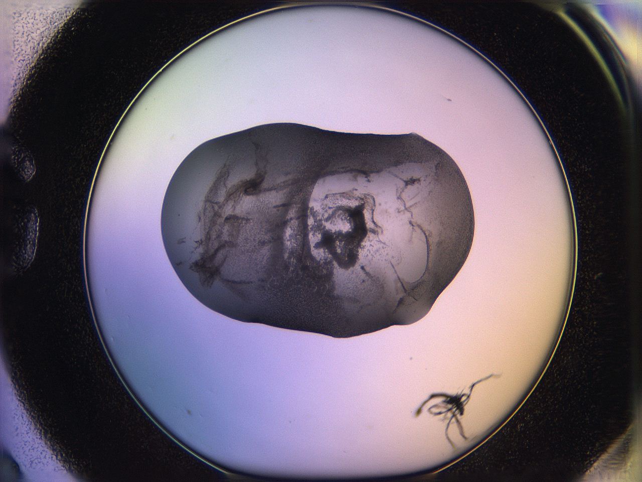 05qo_G3_ImagerDefaults_3.jpg