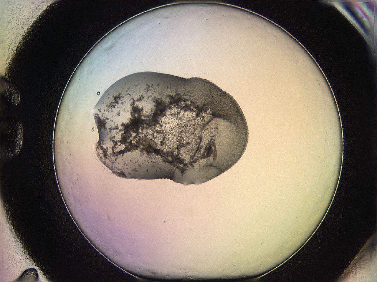 05qo_G11_ImagerDefaults_3.jpg