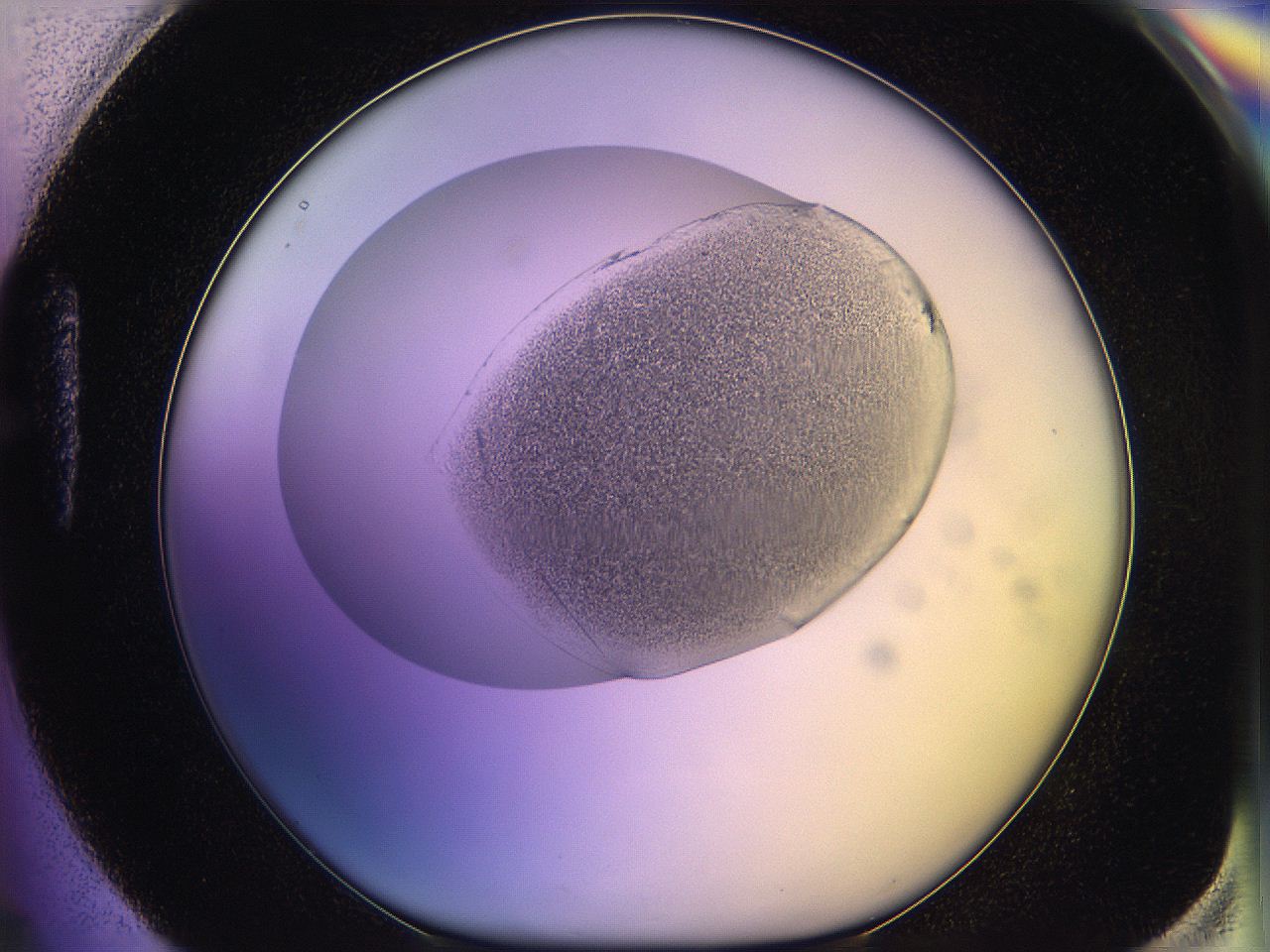 05qo_H4_ImagerDefaults_3.jpg