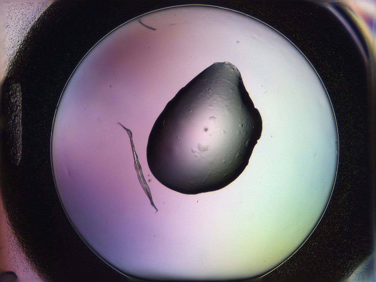 05qo_H7_ImagerDefaults_2.jpg