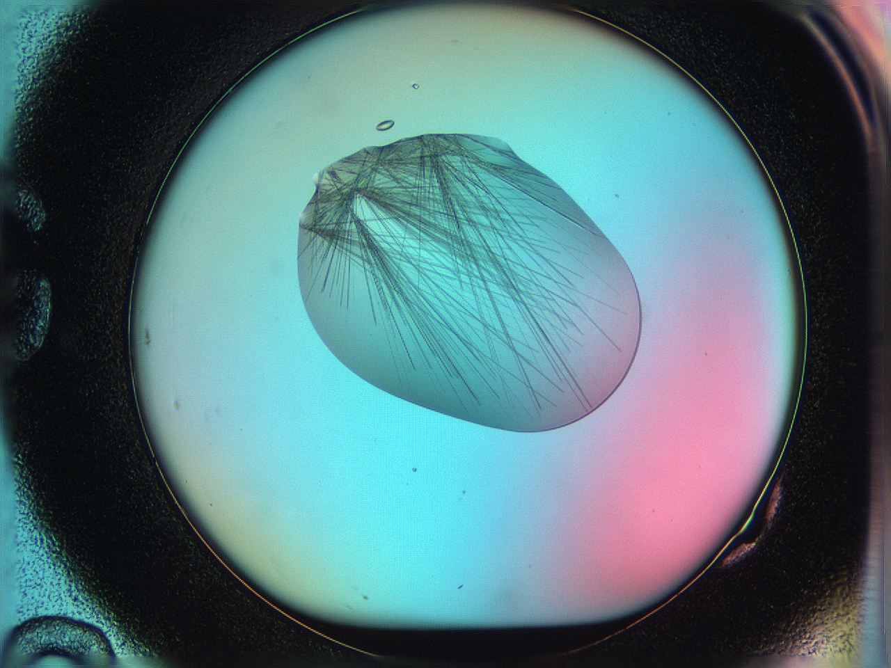 05qp_G10_ImagerDefaults_9.jpg
