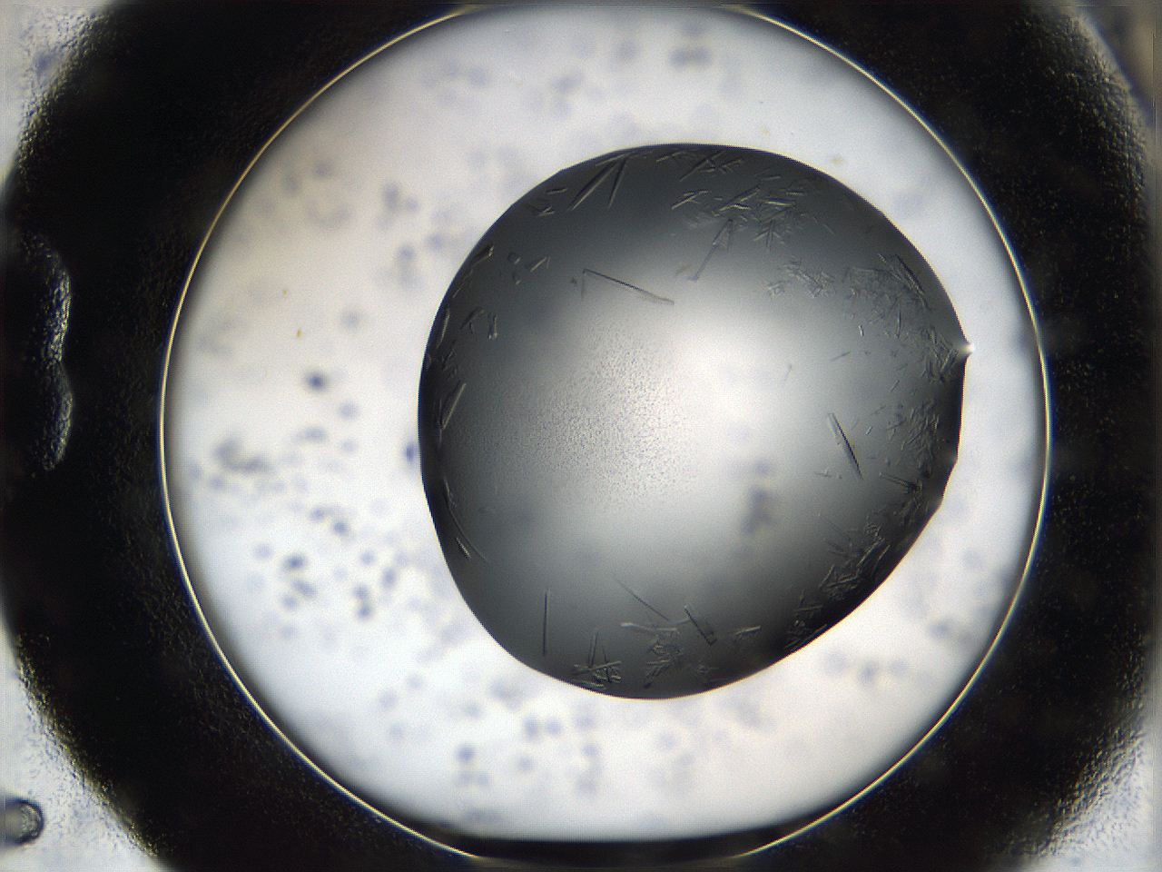 05qu_B5_ImagerDefaults_9.jpg