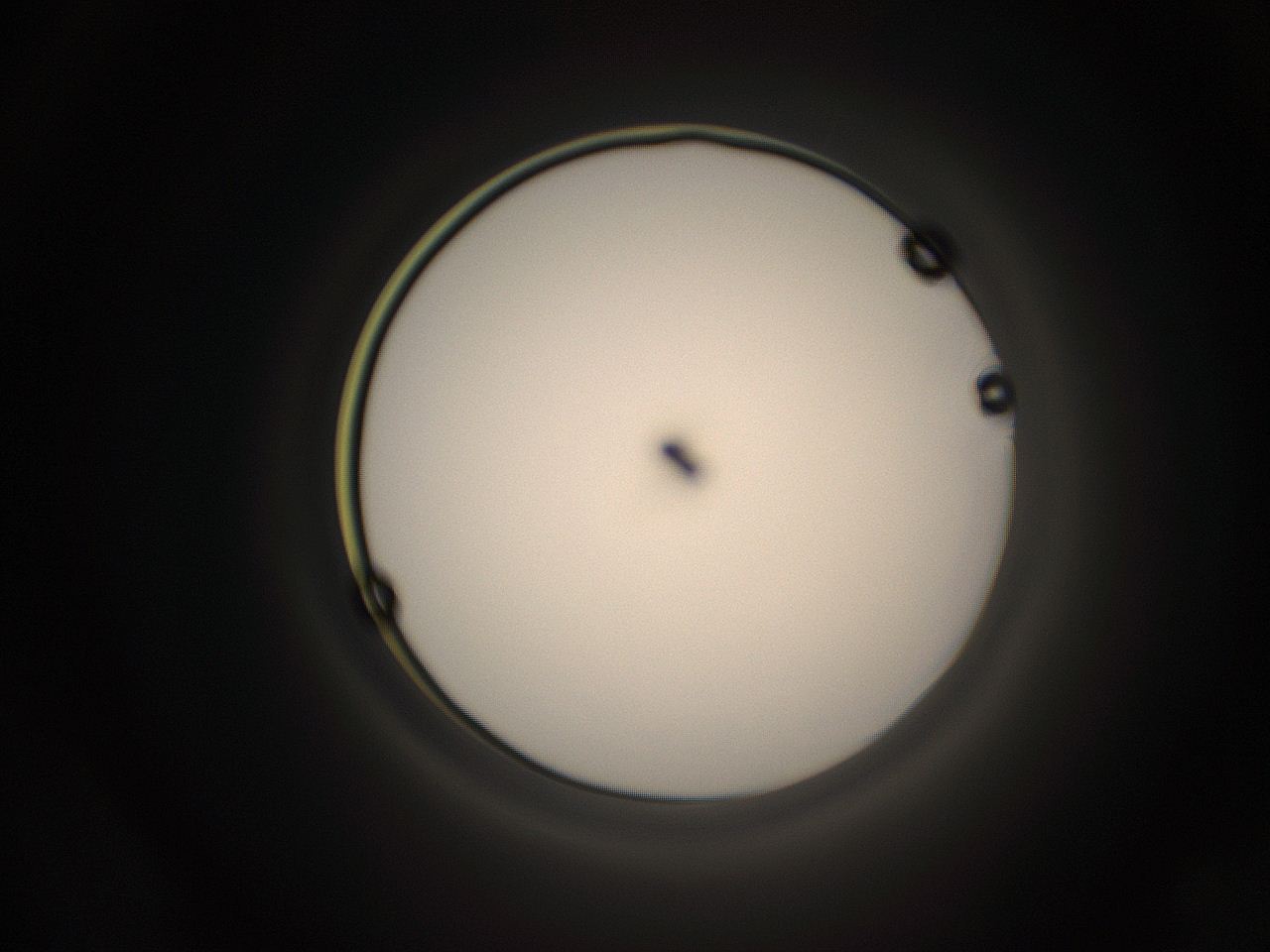 05qz_C8_ImagerDefaults_1.jpg