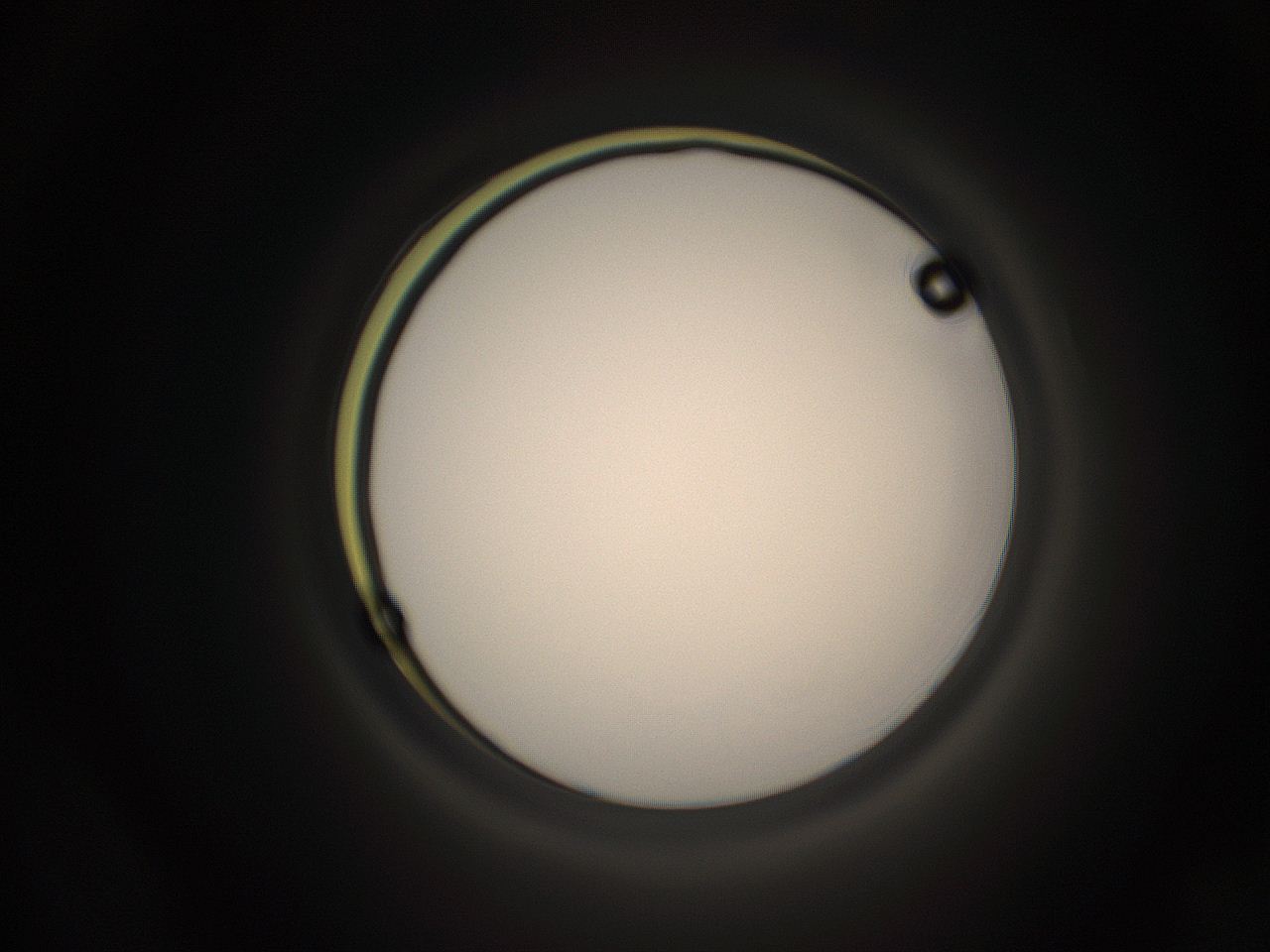 05qz_C12_ImagerDefaults_1.jpg