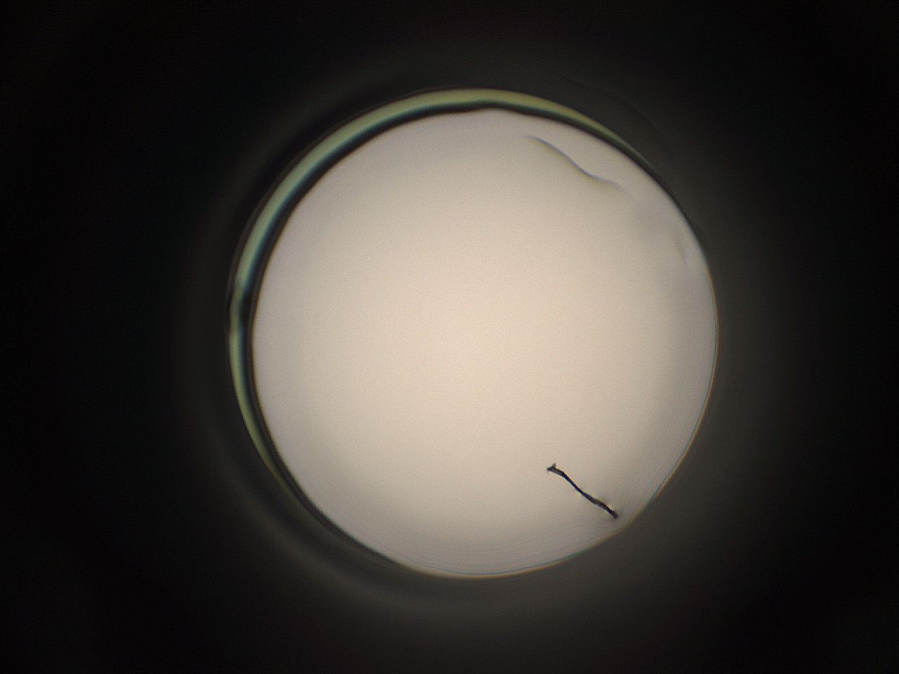 05qz_F24_ImagerDefaults_1.jpg