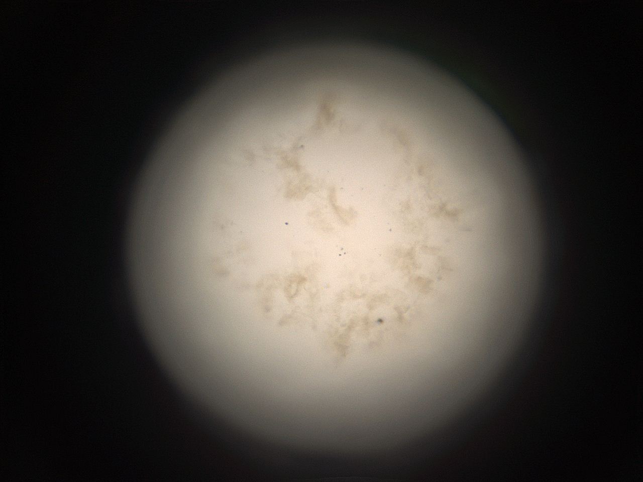 05r0_B1_ImagerDefaults_9.jpg