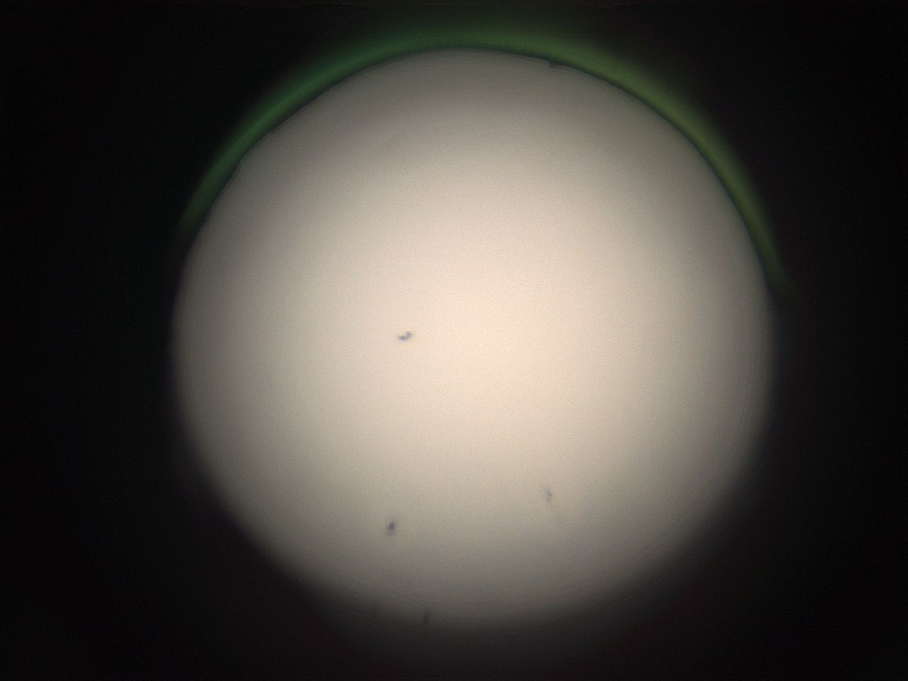05r0_D21_ImagerDefaults_1.jpg