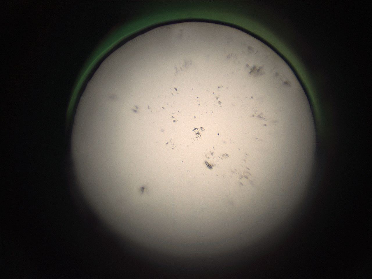 05r0_D24_ImagerDefaults_1.jpg