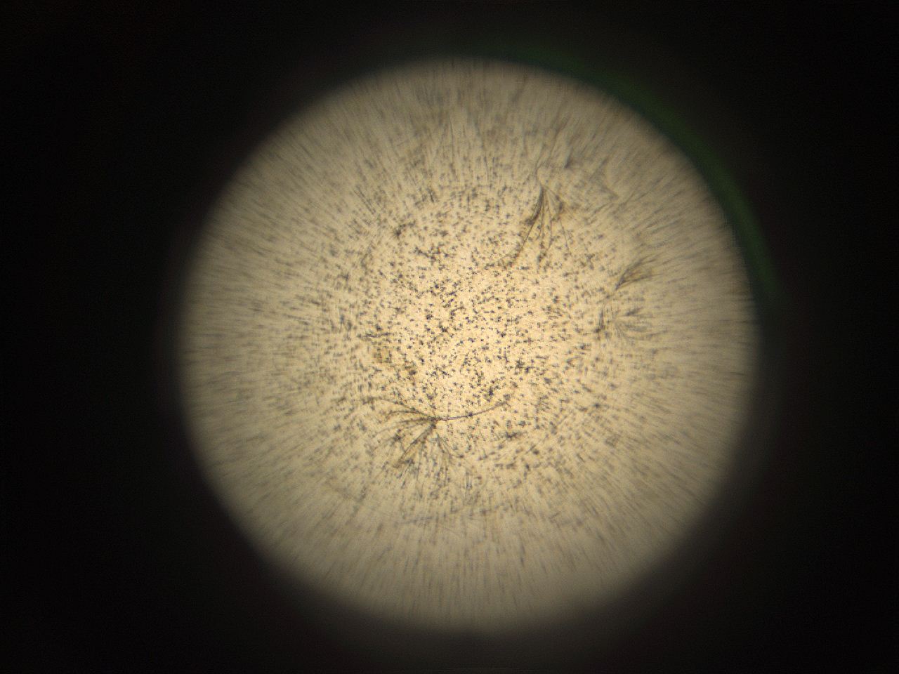 05r0_E1_ImagerDefaults_9.jpg