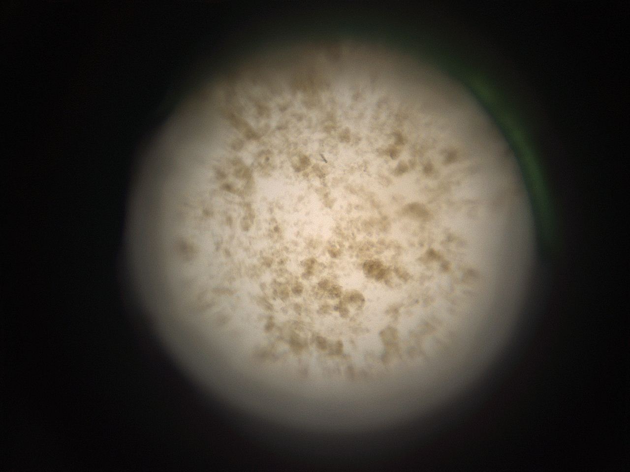 05r0_F13_ImagerDefaults_9.jpg