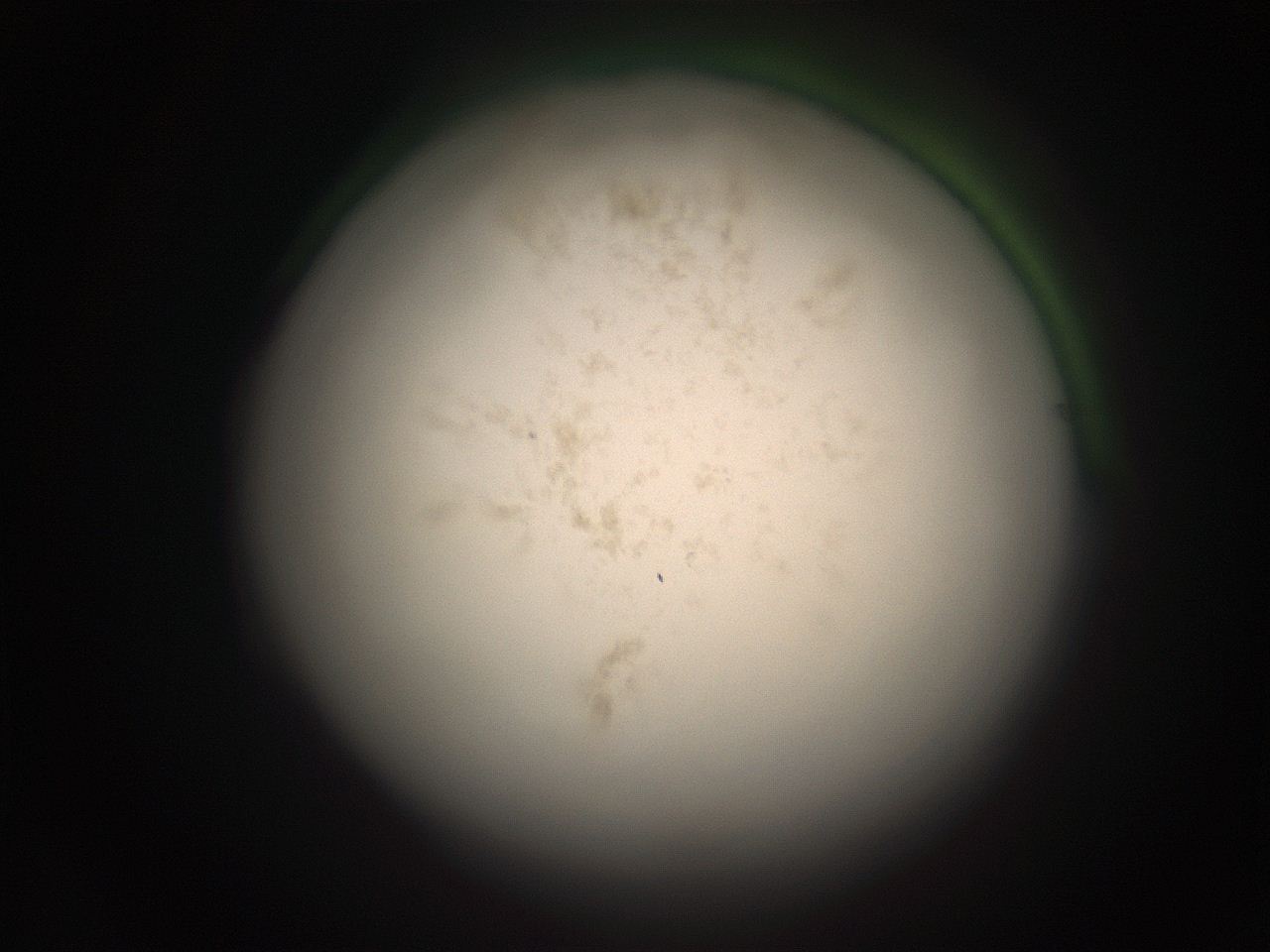 05r0_F14_ImagerDefaults_9.jpg