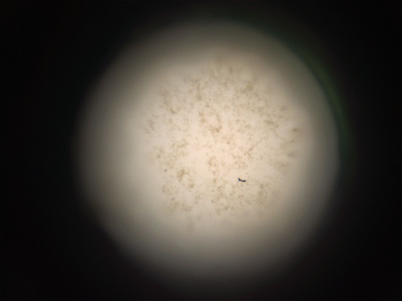05r0_J13_ImagerDefaults_9.jpg