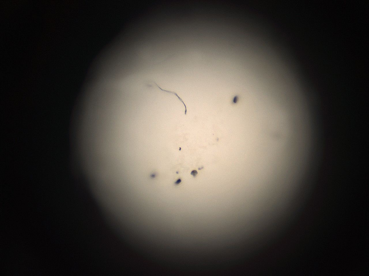 05r1_B14_ImagerDefaults_9.jpg
