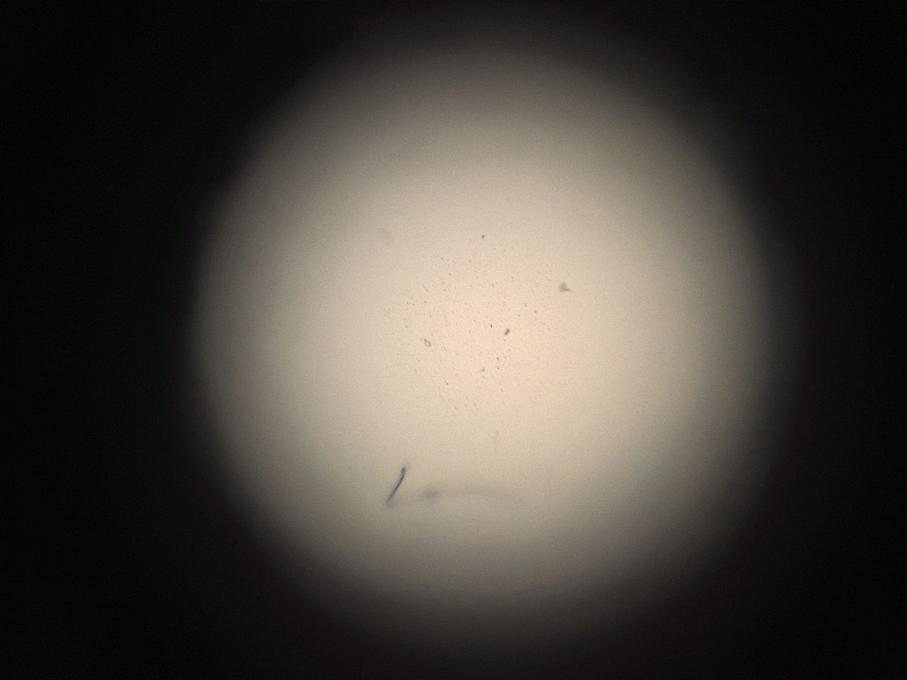 05r1_A14_ImagerDefaults_9.jpg