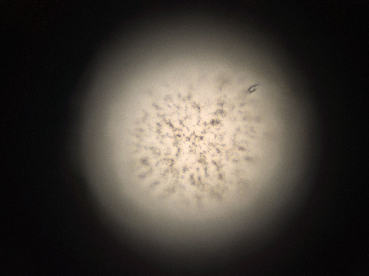 05r1_B2_ImagerDefaults_9.jpg