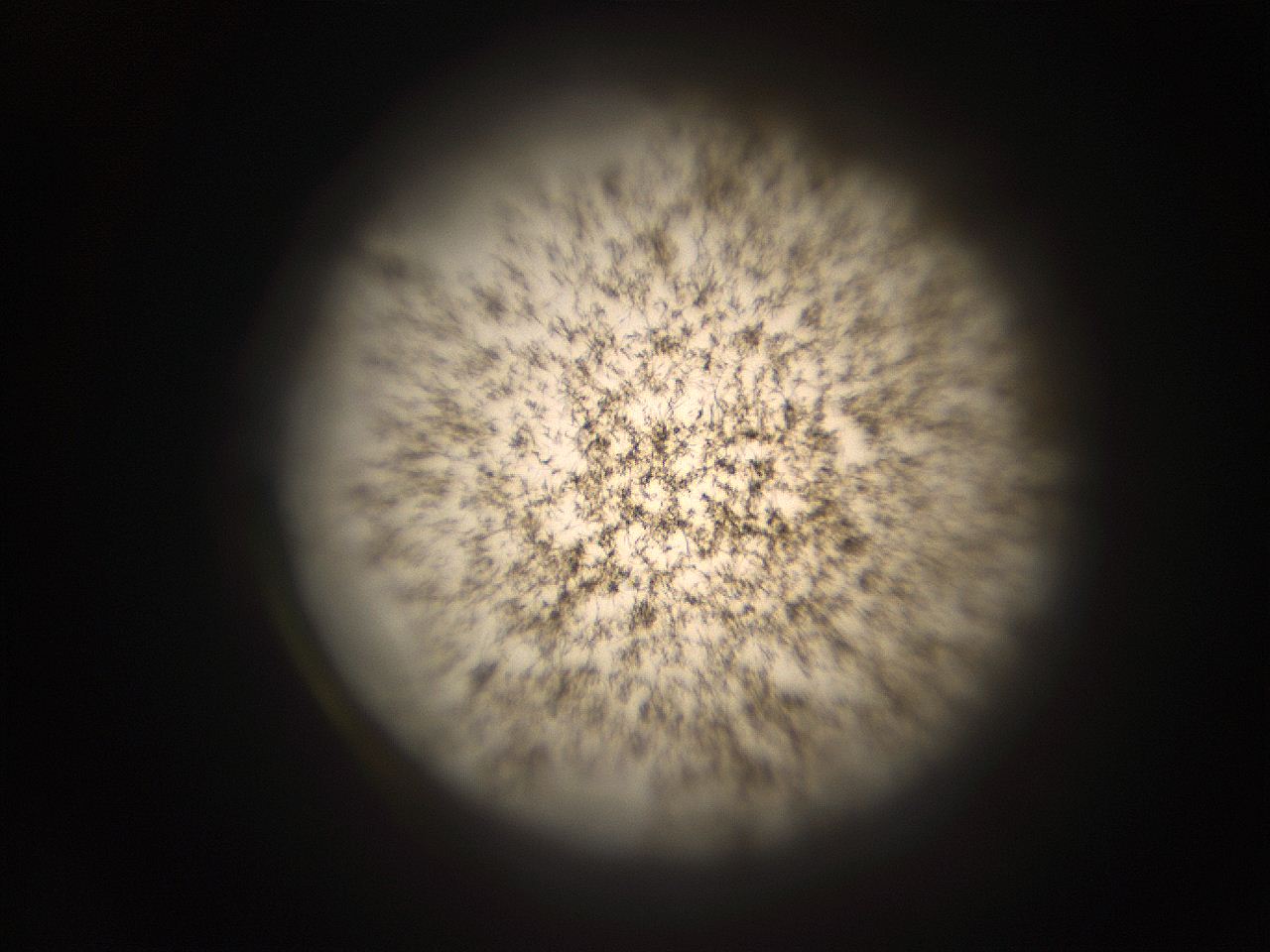 05r1_B1_ImagerDefaults_9.jpg