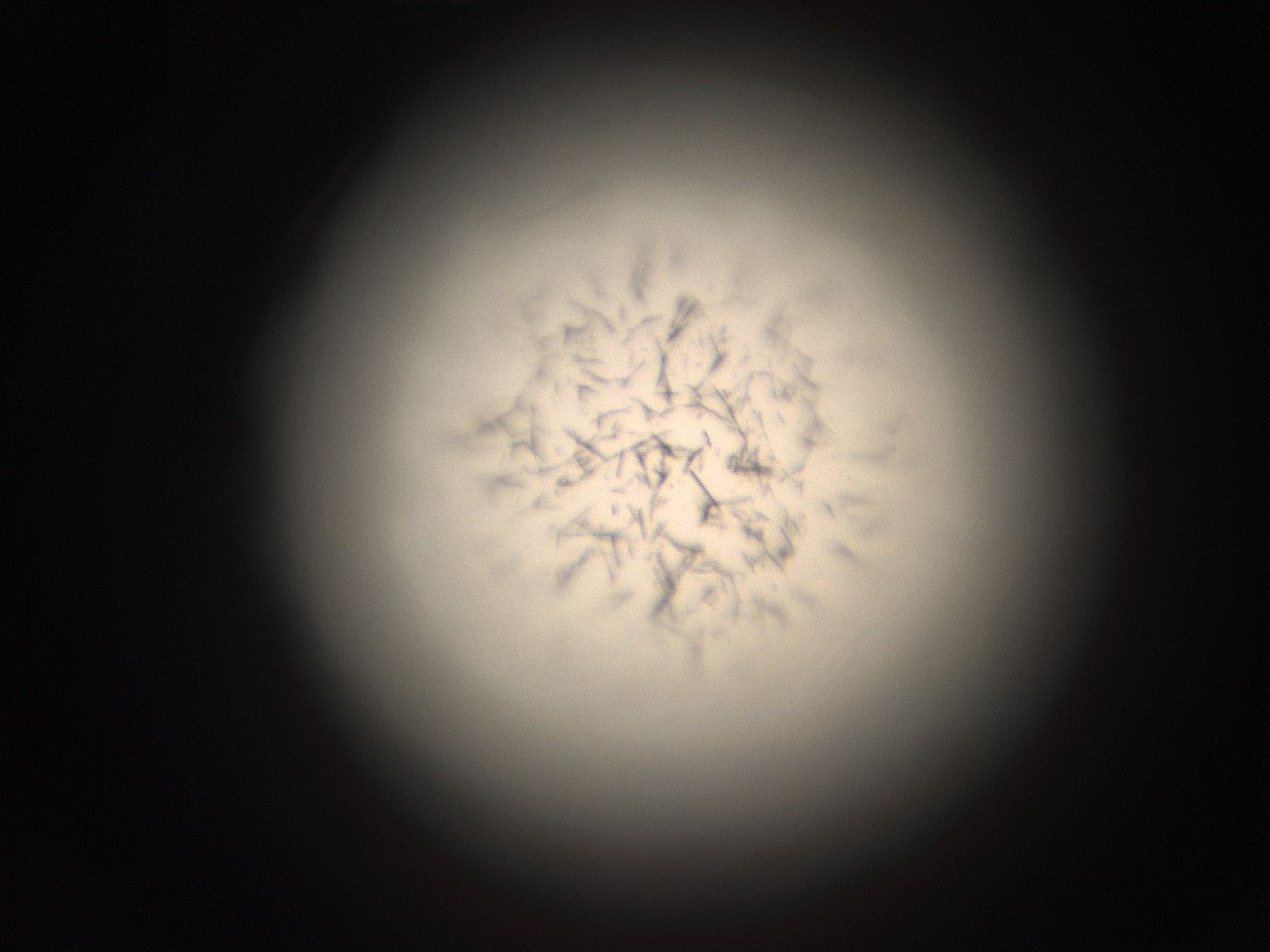05r1_C14_ImagerDefaults_9.jpg