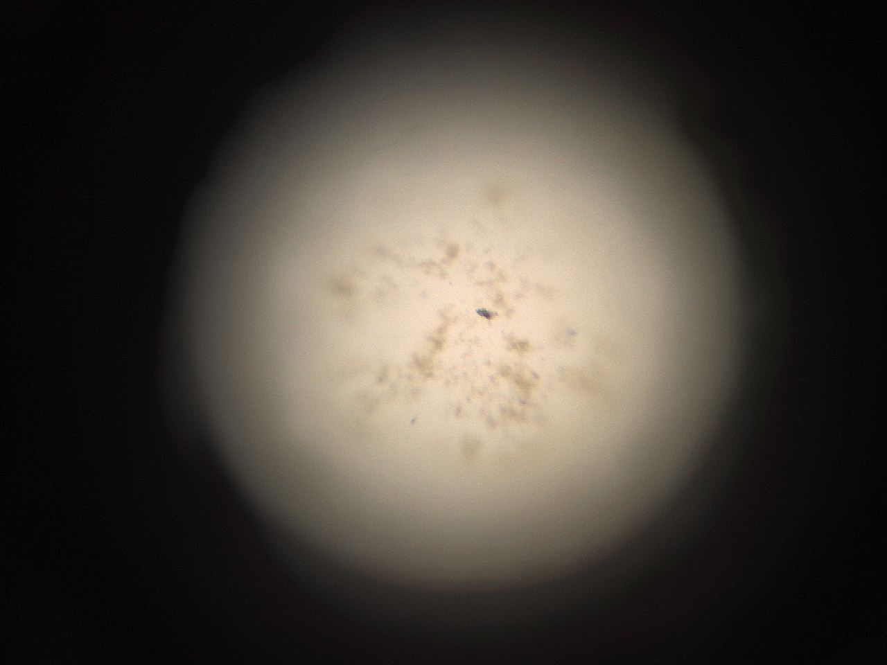 05r1_G14_ImagerDefaults_9.jpg