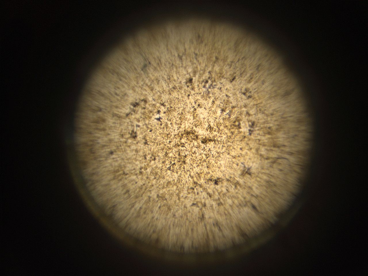 05r1_H1_ImagerDefaults_9.jpg
