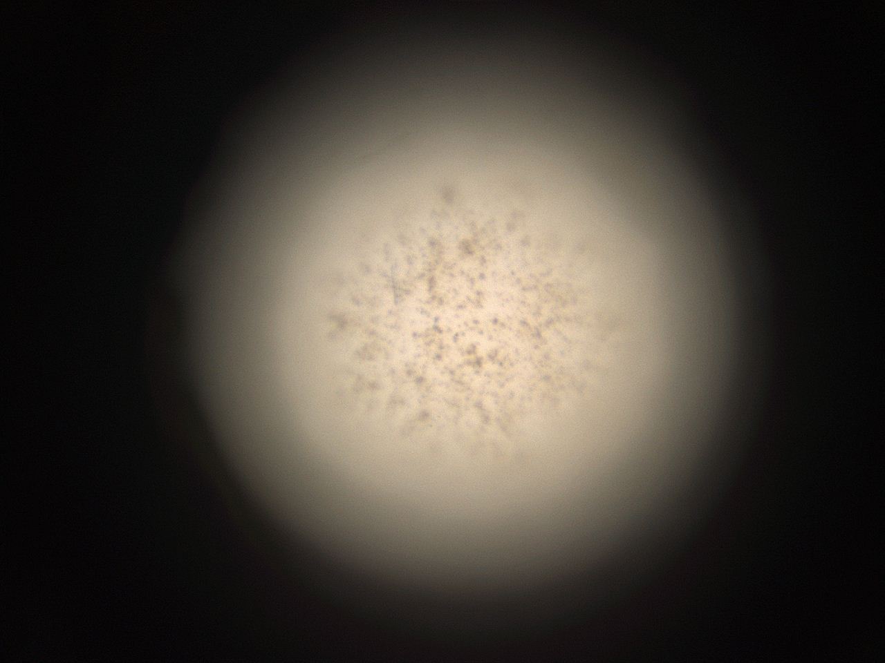 05r1_H4_ImagerDefaults_9.jpg