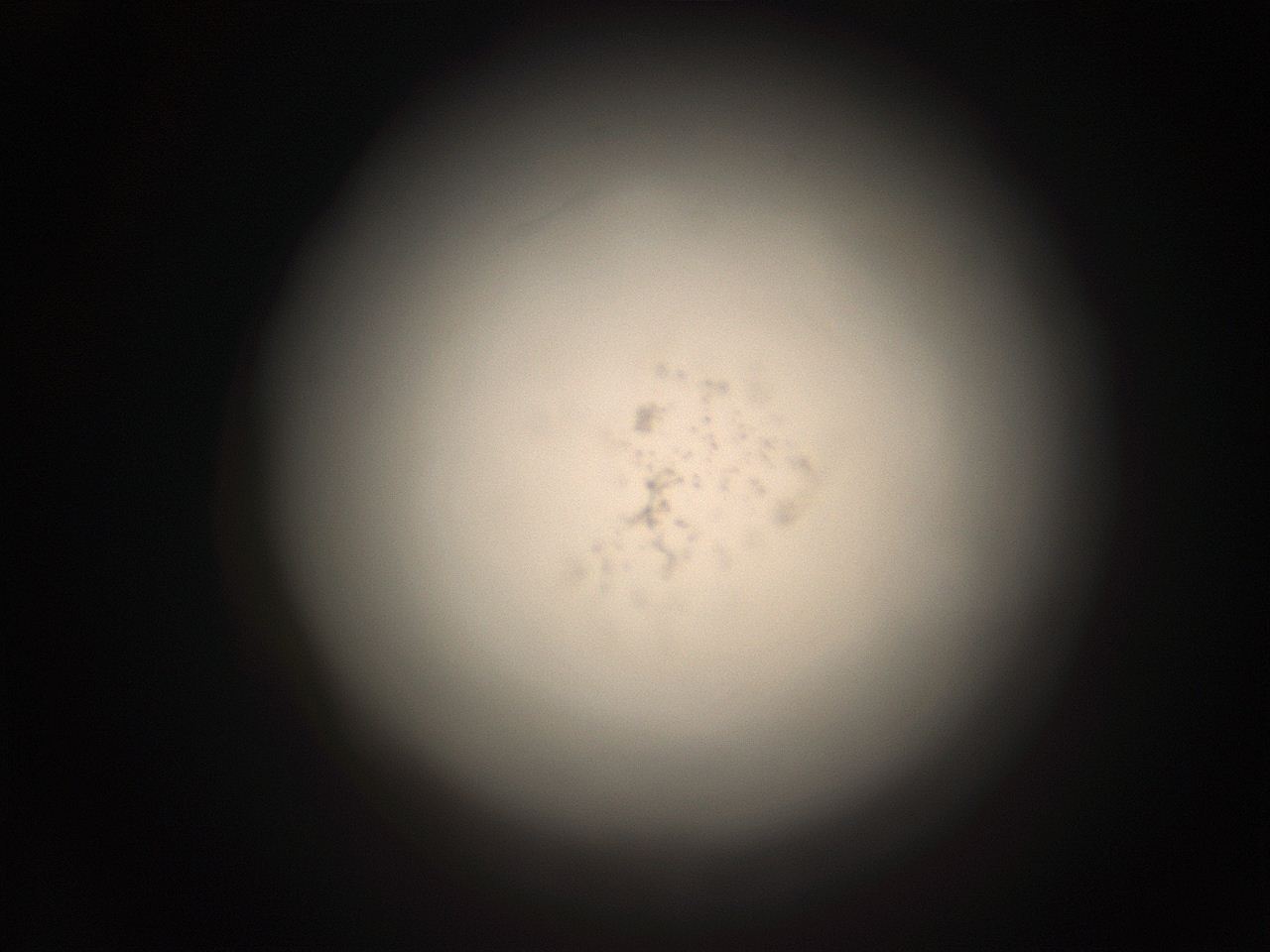 05r1_H5_ImagerDefaults_9.jpg
