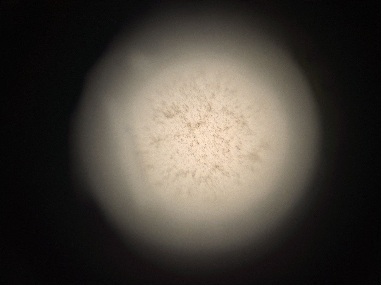 05r1_I14_ImagerDefaults_9.jpg