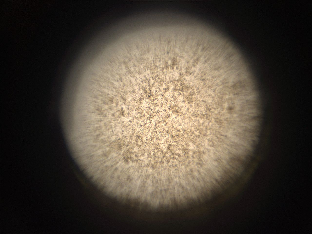 05r1_J1_ImagerDefaults_9.jpg