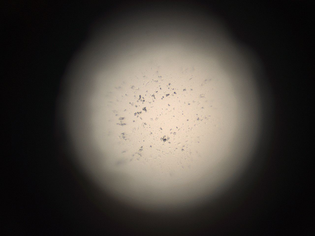 05r1_J7_ImagerDefaults_9.jpg