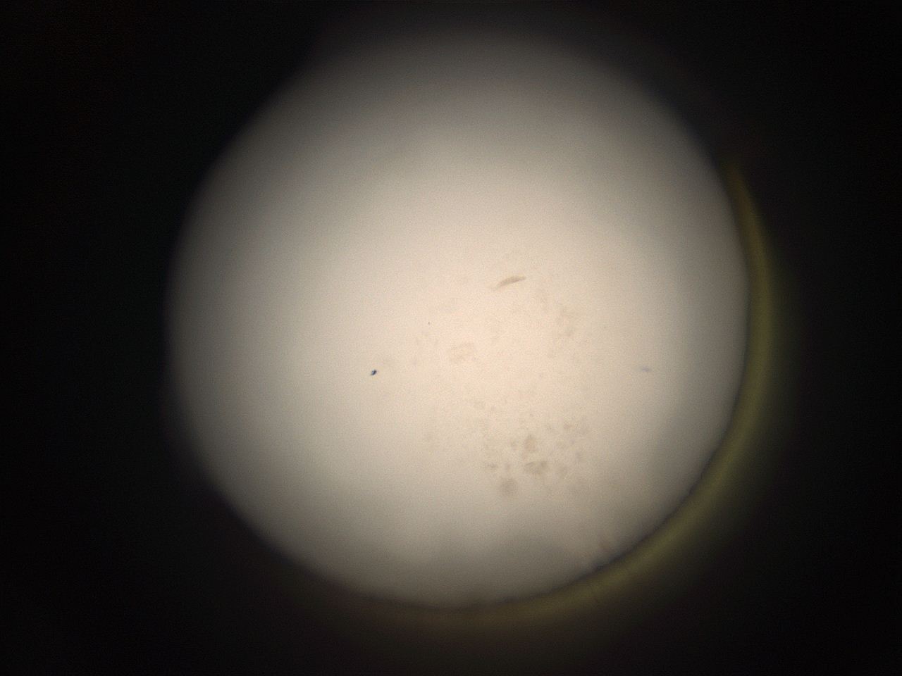 05r1_P2_ImagerDefaults_9.jpg