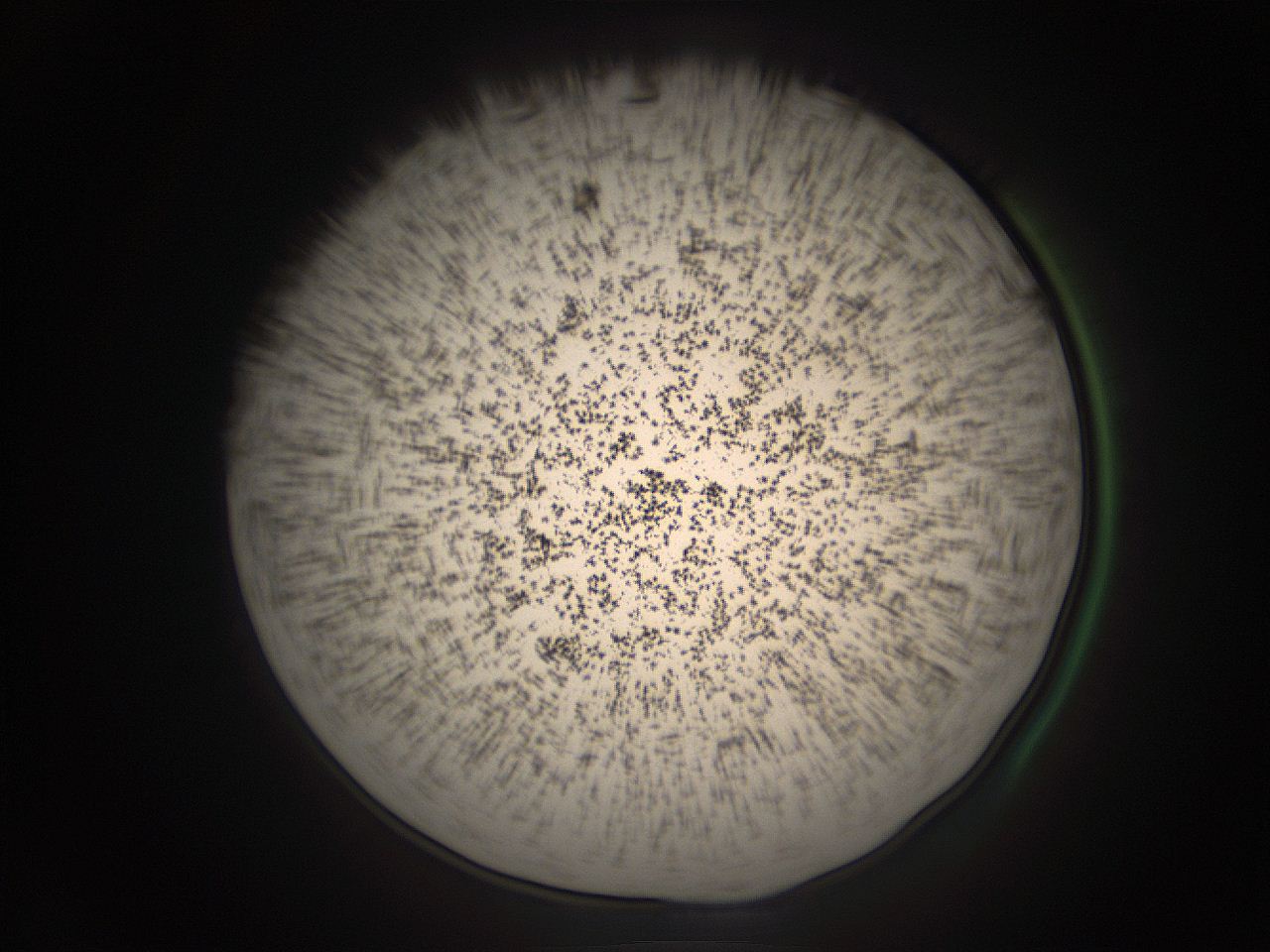 05r2_C1_ImagerDefaults_9.jpg
