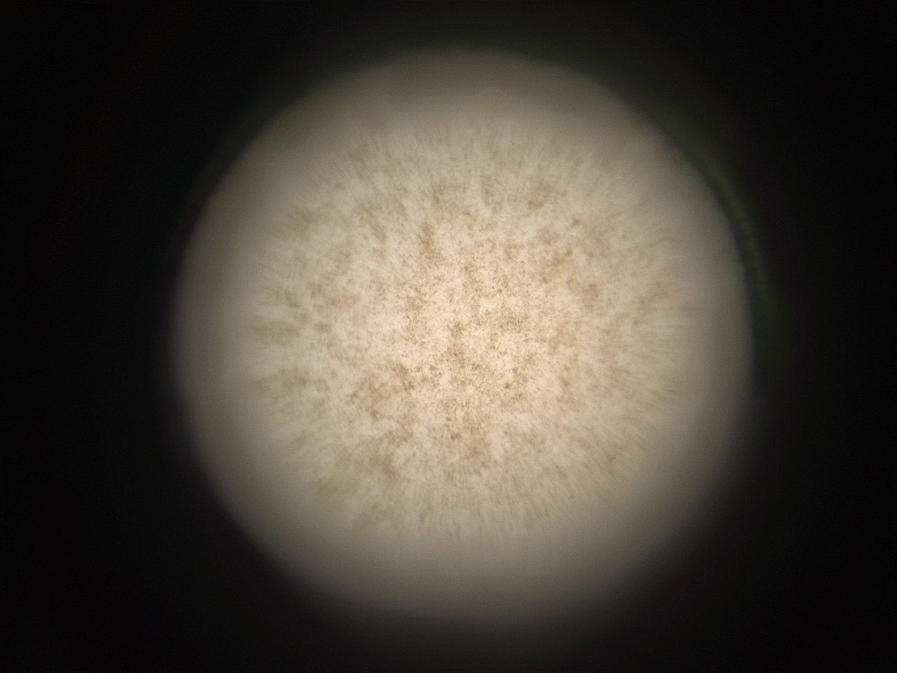 05r2_A13_ImagerDefaults_9.jpg