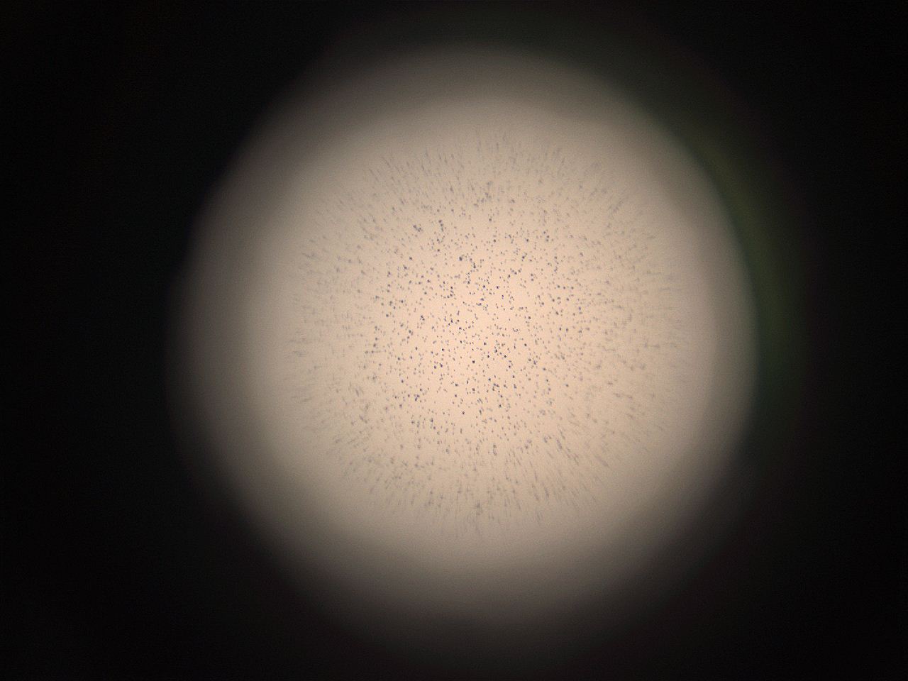 05r2_F13_ImagerDefaults_9.jpg