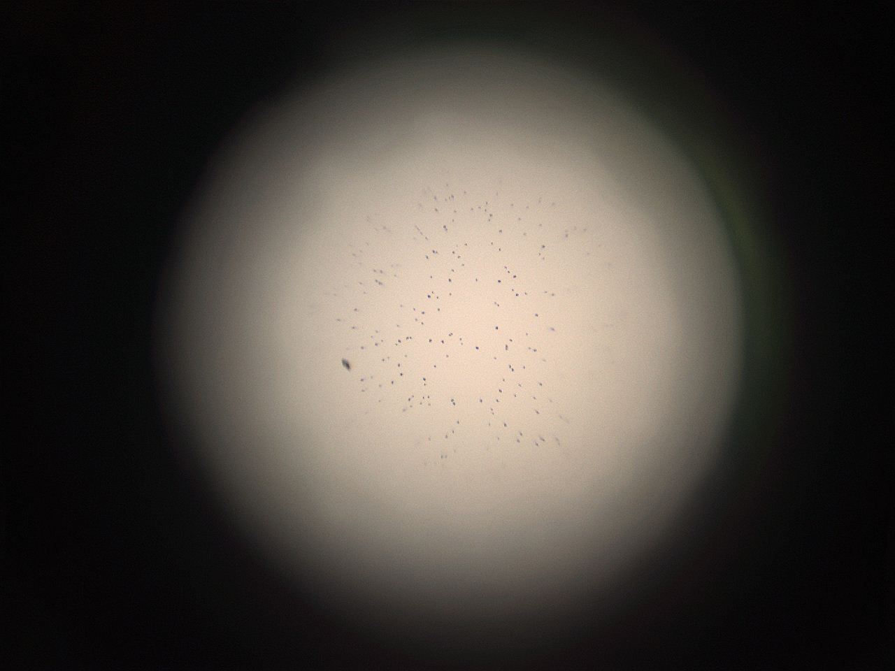 05r2_F14_ImagerDefaults_9.jpg