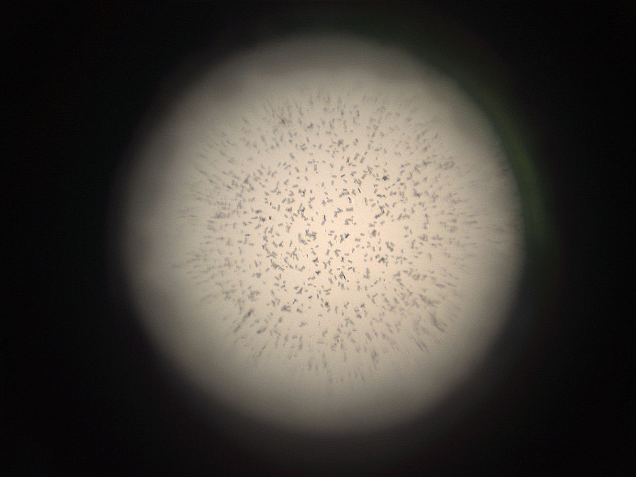 05r2_H13_ImagerDefaults_9.jpg