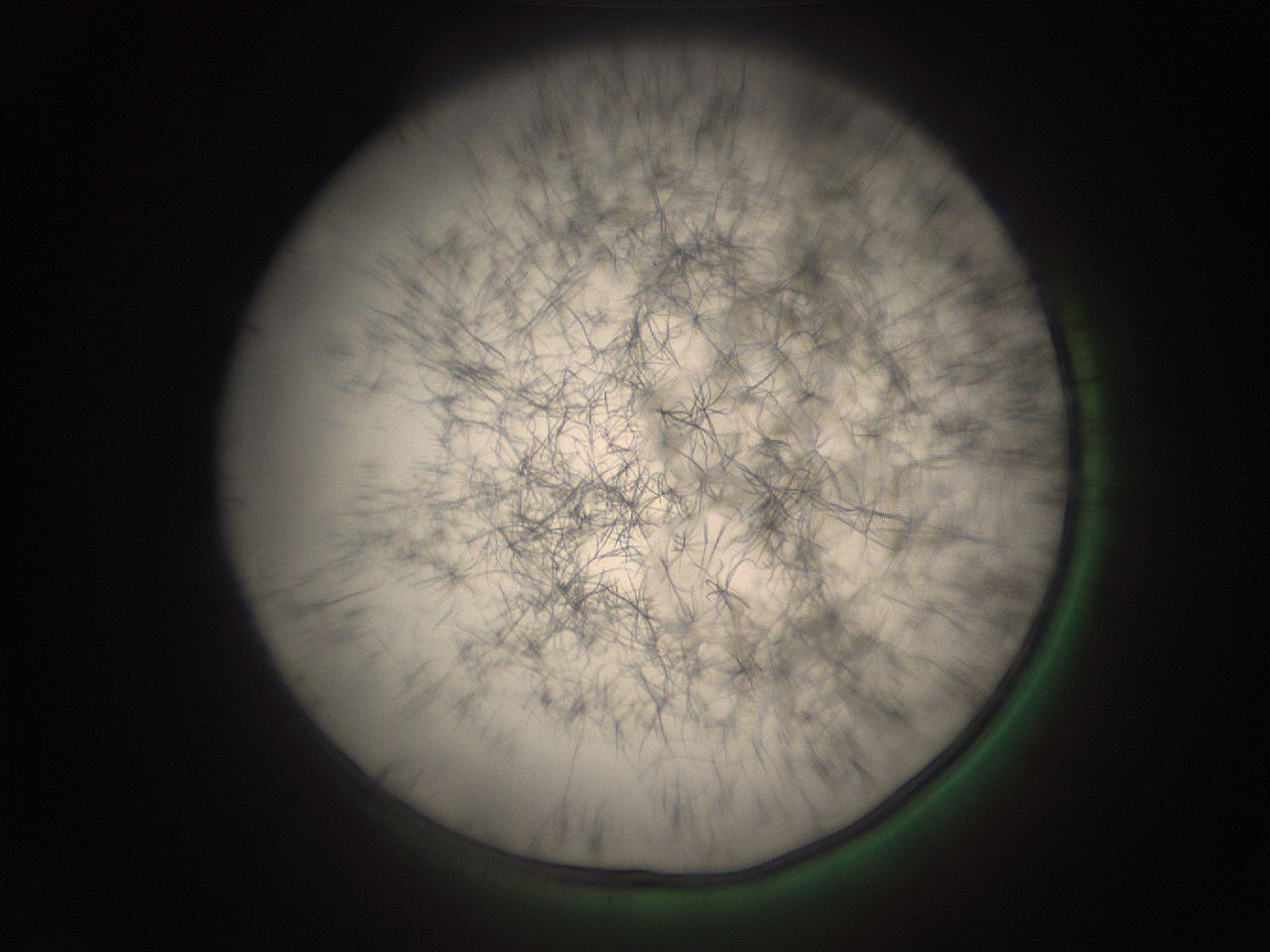 05r2_I1_ImagerDefaults_9.jpg