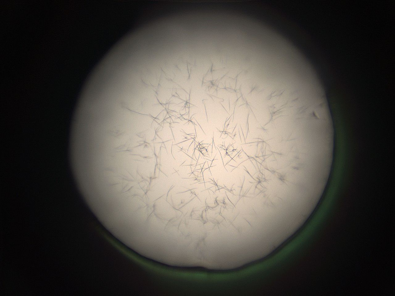 05r2_I3_ImagerDefaults_9.jpg