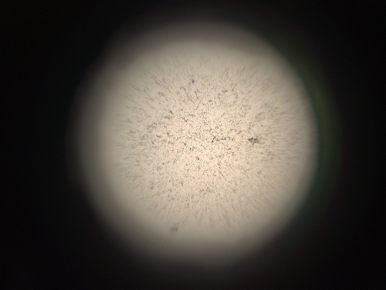 05r2_J13_ImagerDefaults_9.jpg