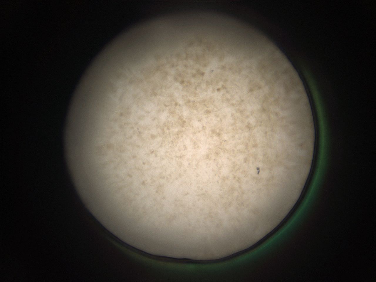 05r2_K1_ImagerDefaults_9.jpg