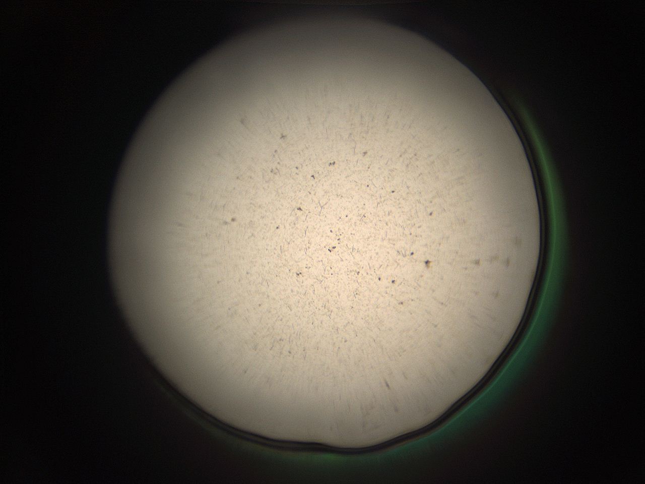 05r2_N1_ImagerDefaults_9.jpg