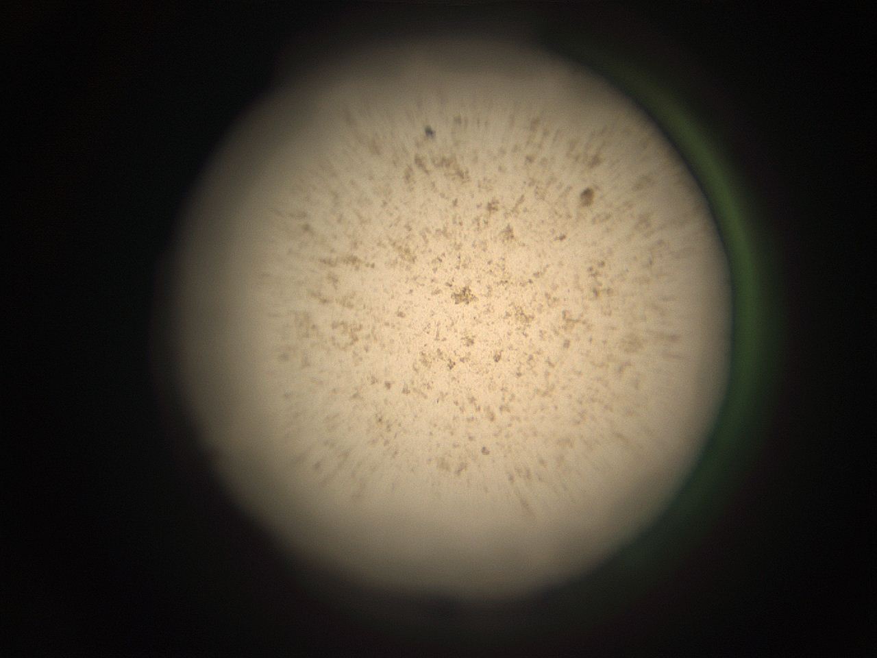 05r2_N13_ImagerDefaults_9.jpg