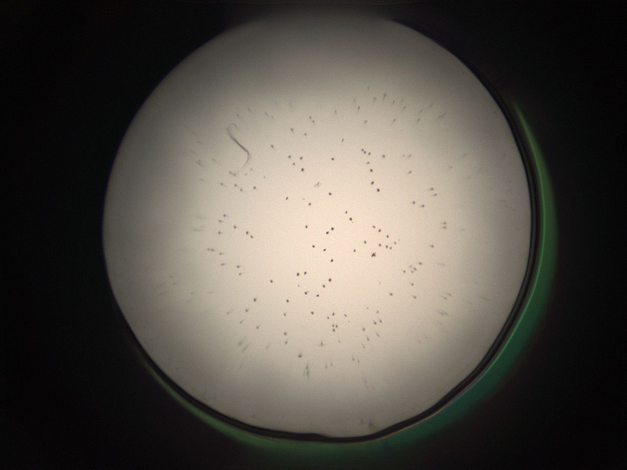 05r2_P3_ImagerDefaults_9.jpg