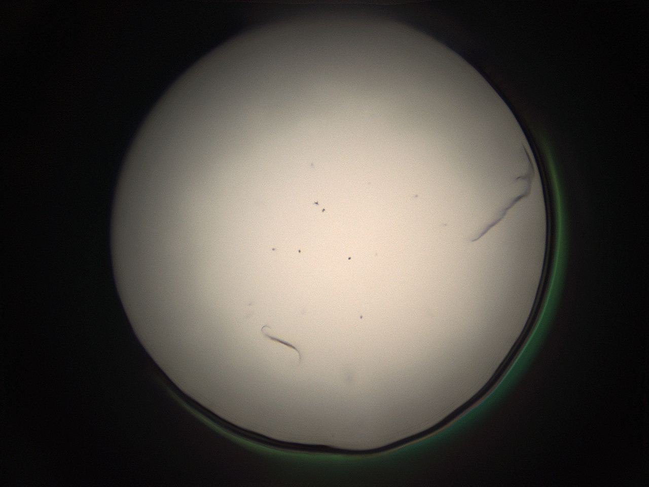 05r2_P4_ImagerDefaults_9.jpg