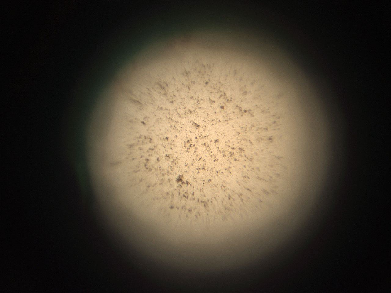 05r3_A13_ImagerDefaults_9.jpg