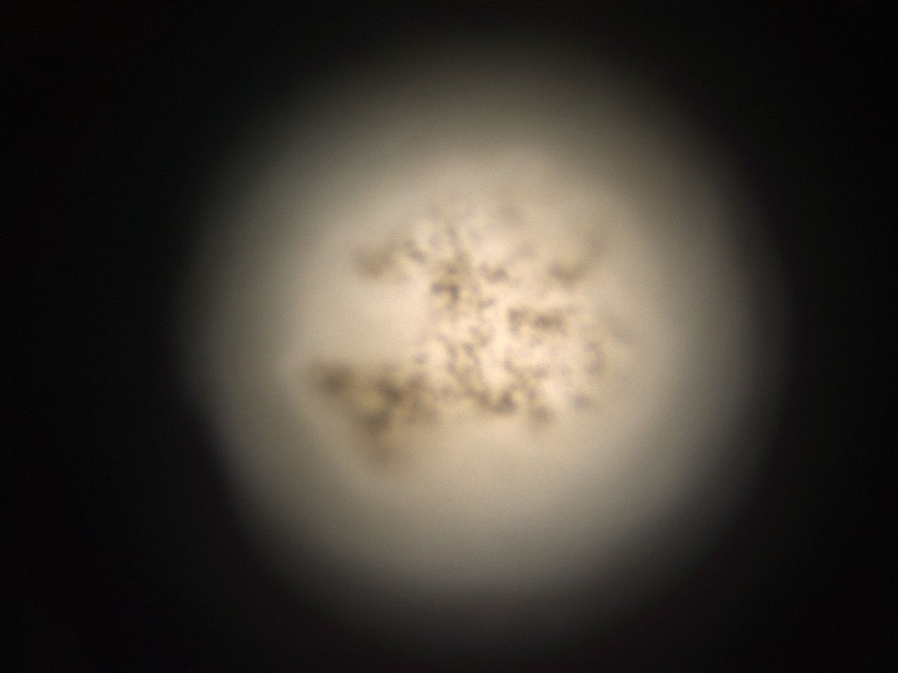 05r3_D13_ImagerDefaults_9.jpg