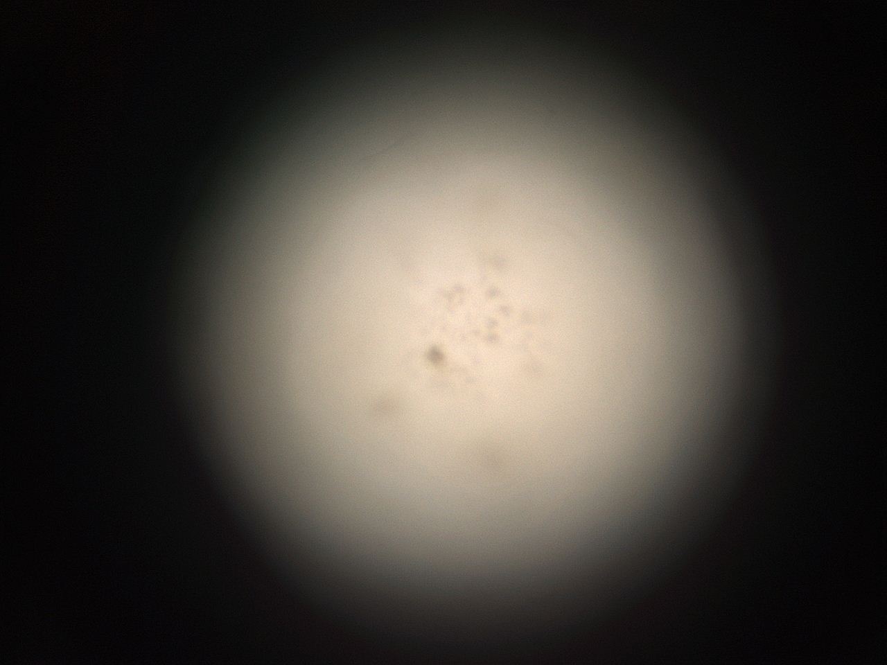 05r3_D14_ImagerDefaults_9.jpg