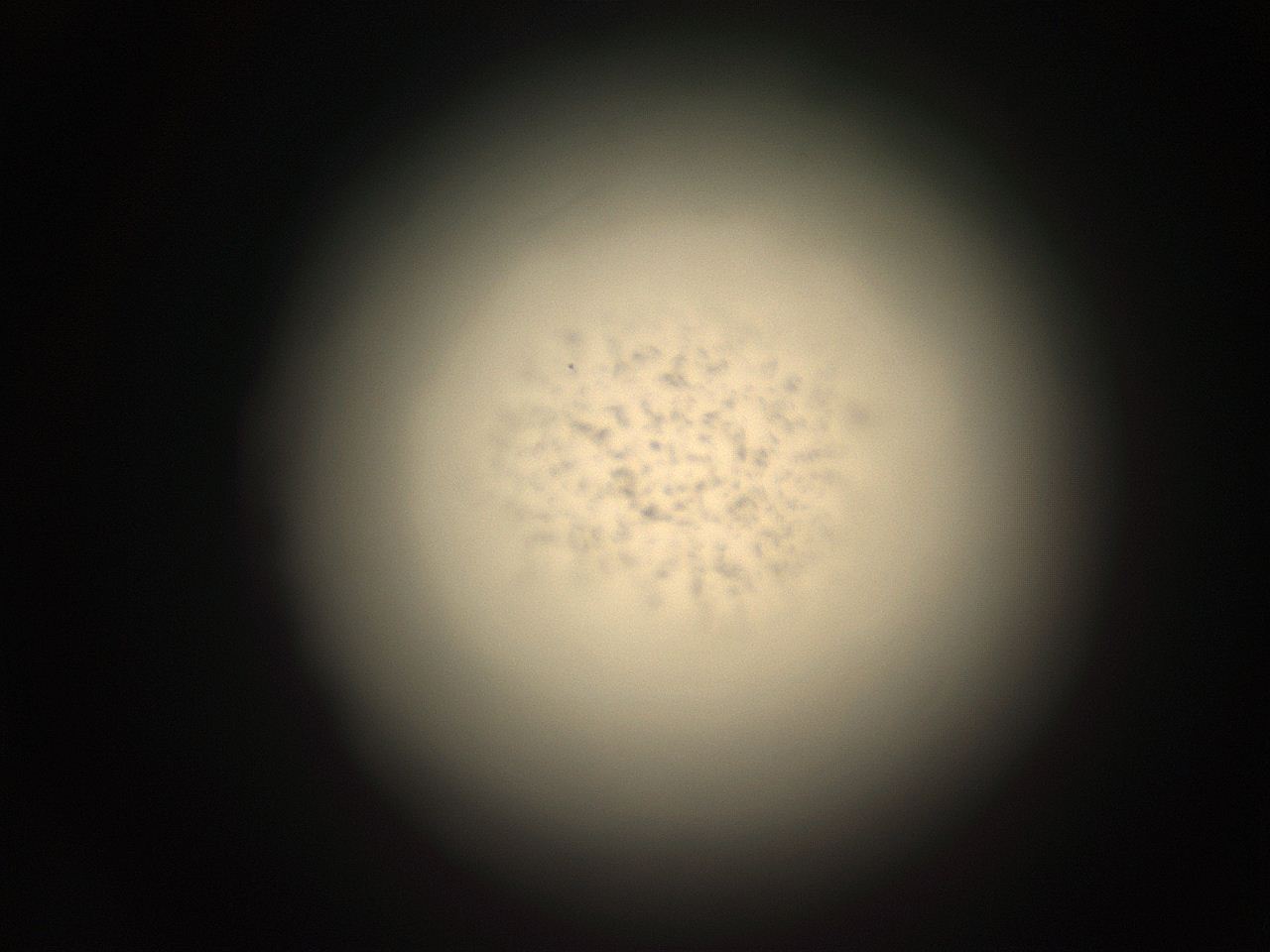 05r3_F13_ImagerDefaults_9.jpg