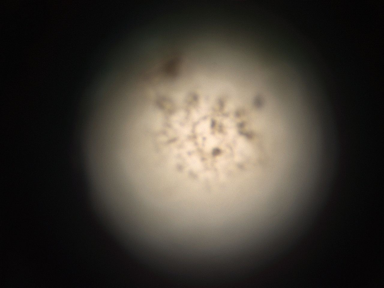 05r3_G13_ImagerDefaults_9.jpg