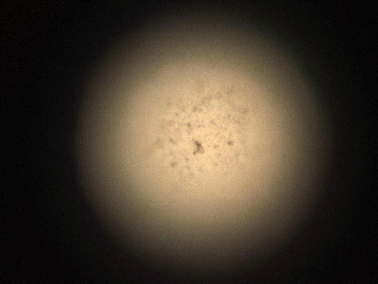 05r3_K13_ImagerDefaults_9.jpg